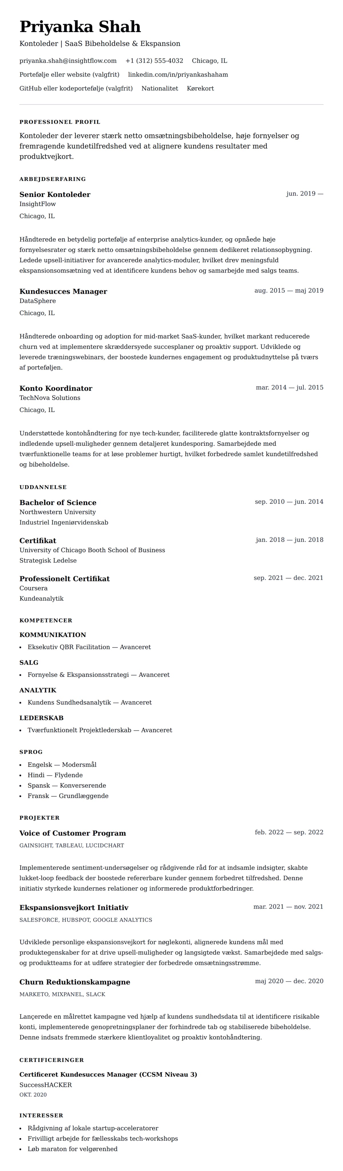 CV-forhåndsvisning for Kontoleder CV Eksempel