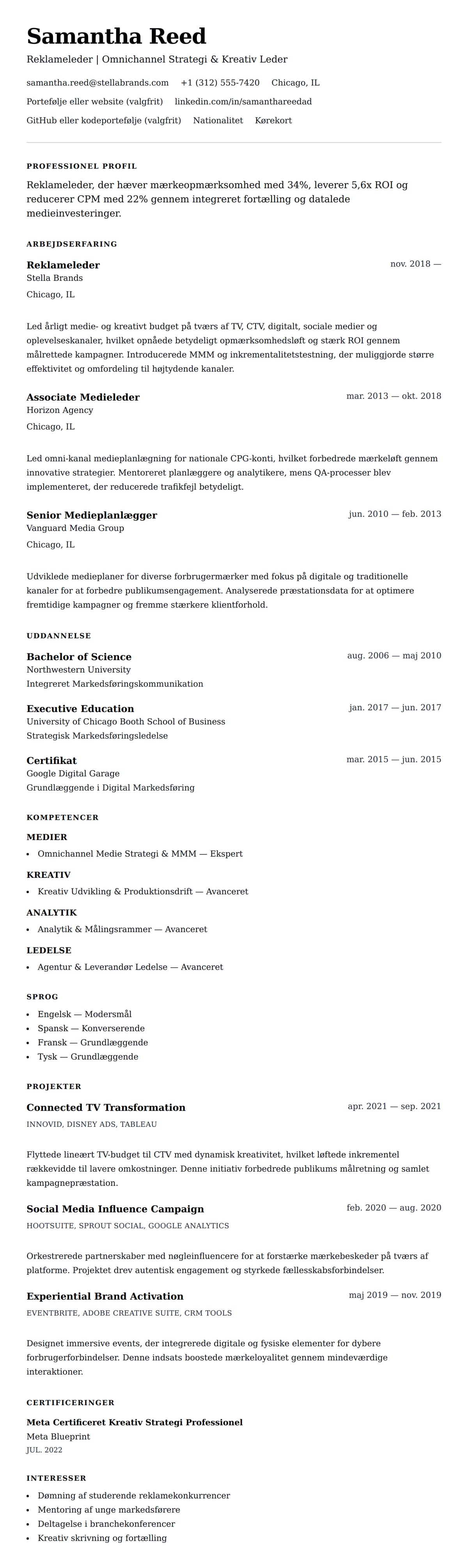 CV-forhåndsvisning for Reklameleder CV Eksempel