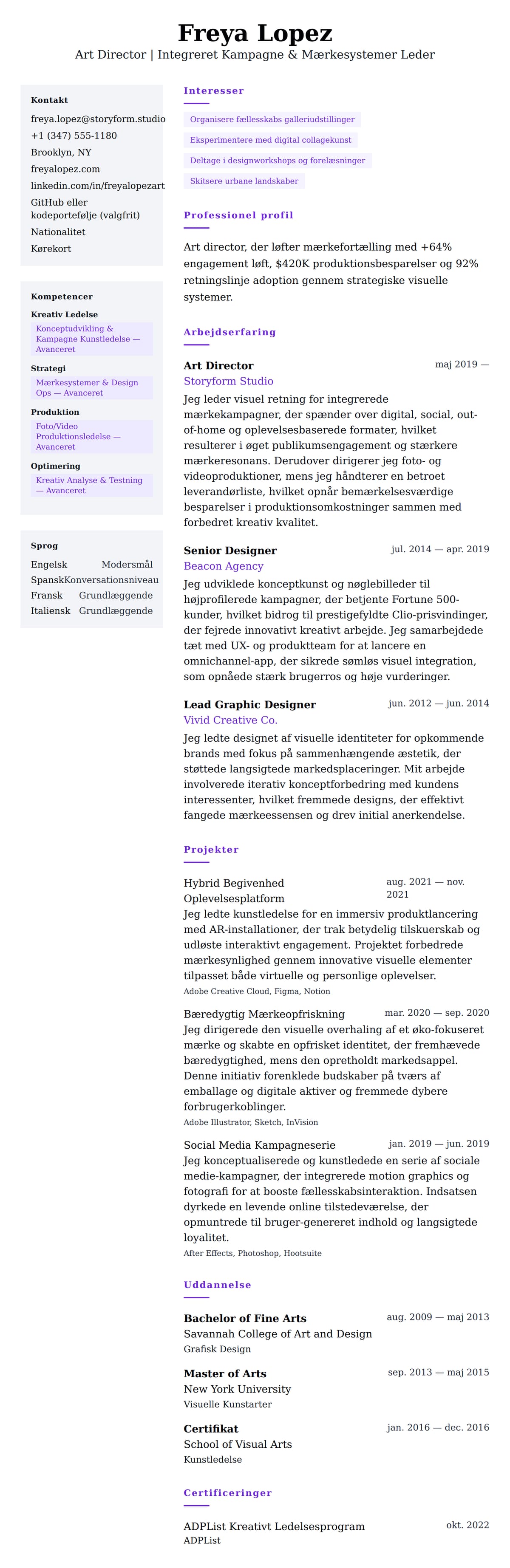 CV-forhåndsvisning for Art Director CV Eksempel