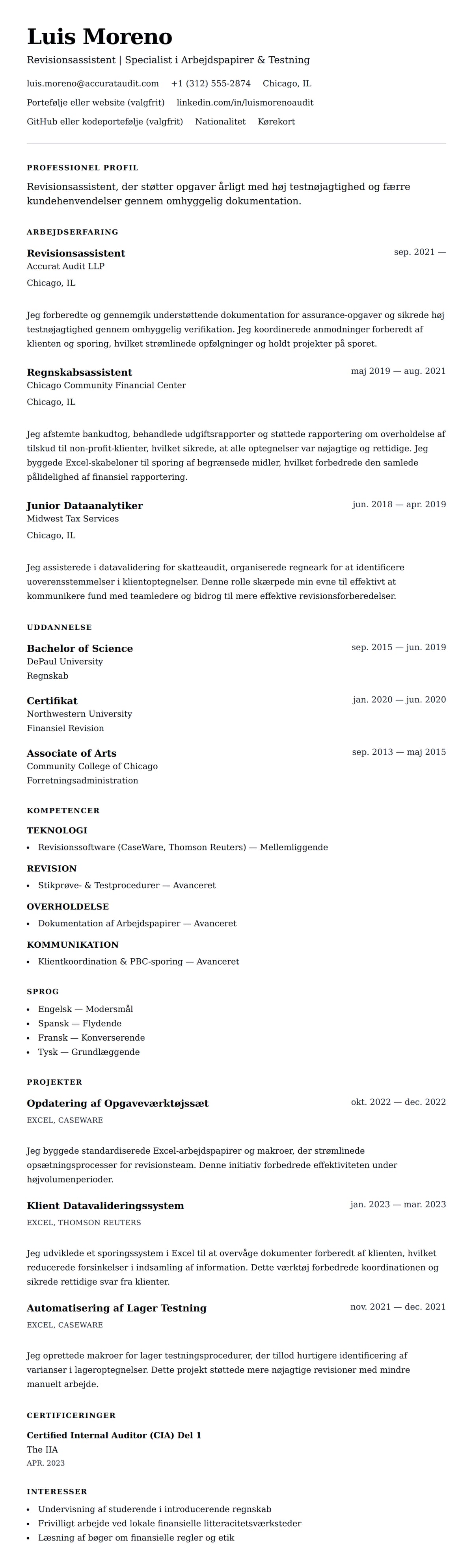 CV-forhåndsvisning for Eksempel på CV for Revisionsassistent