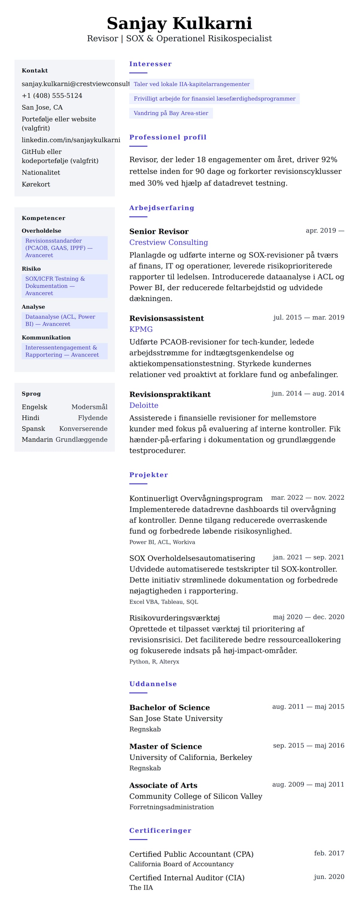 CV-forhåndsvisning for Revisor CV-eksempel