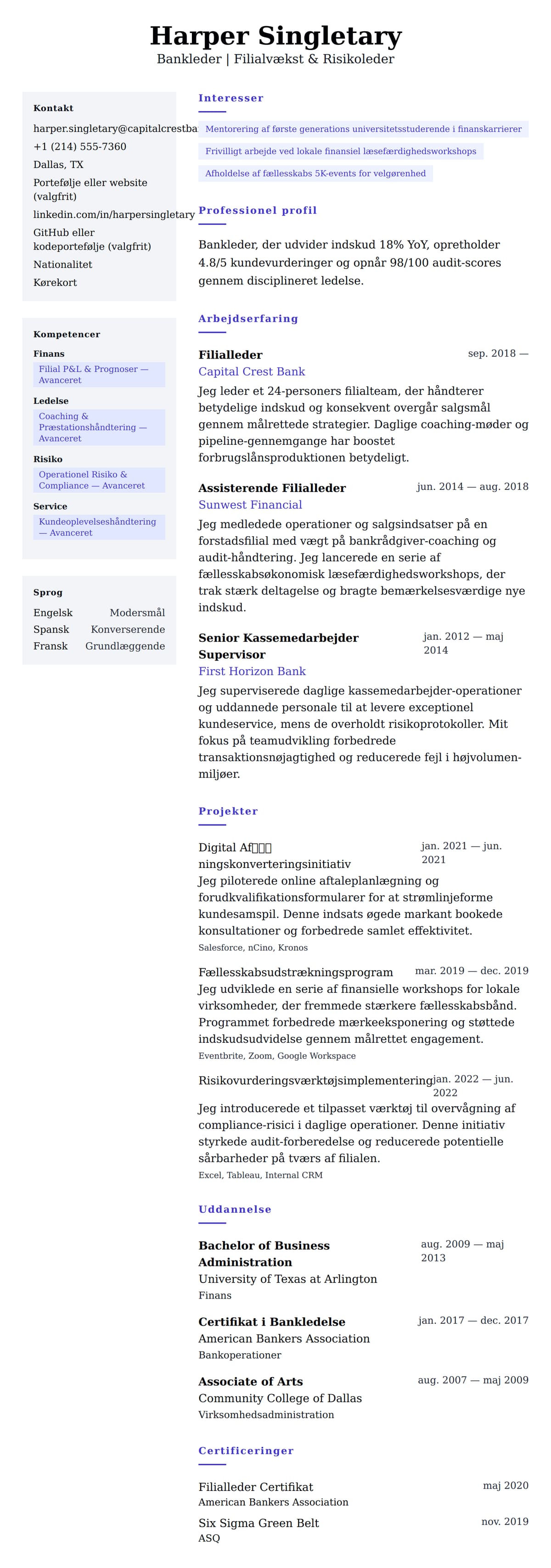 CV-forhåndsvisning for Bankleder CV Eksempel