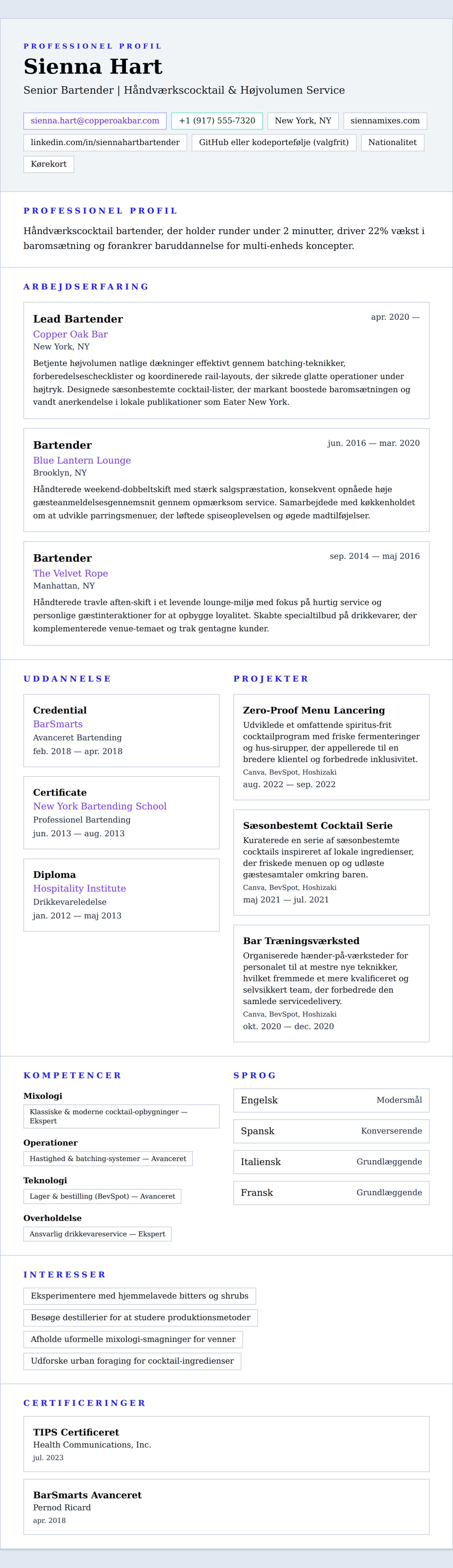 CV-forhåndsvisning for Bartender CV Eksempel