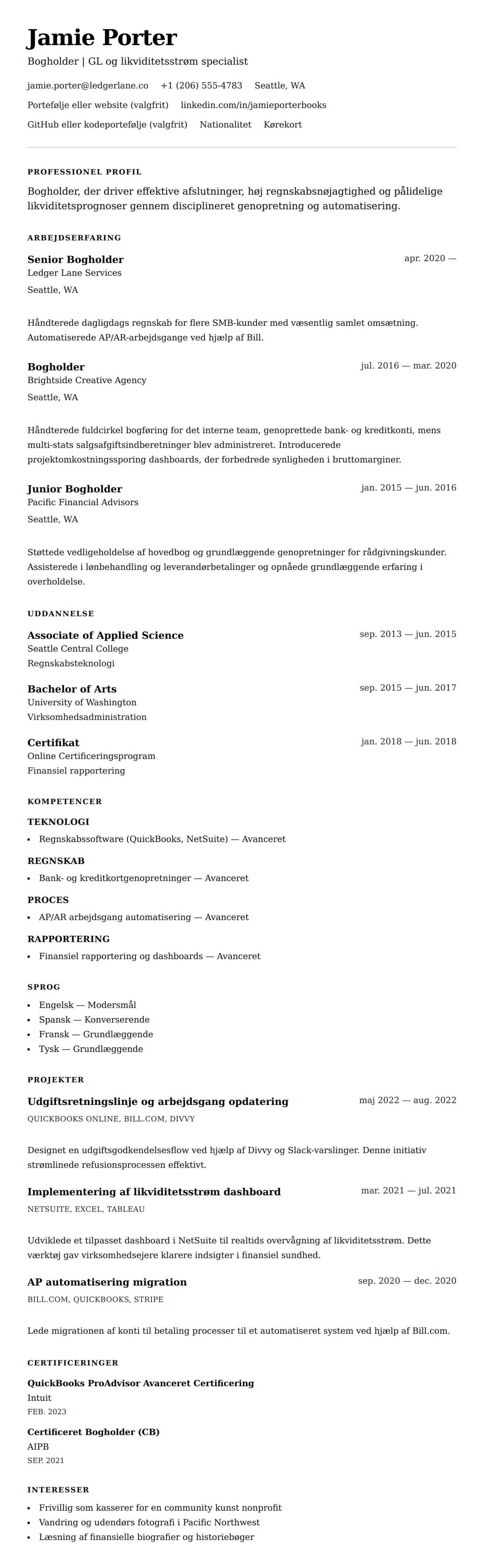 CV-forhåndsvisning for Bogholder CV-eksempel