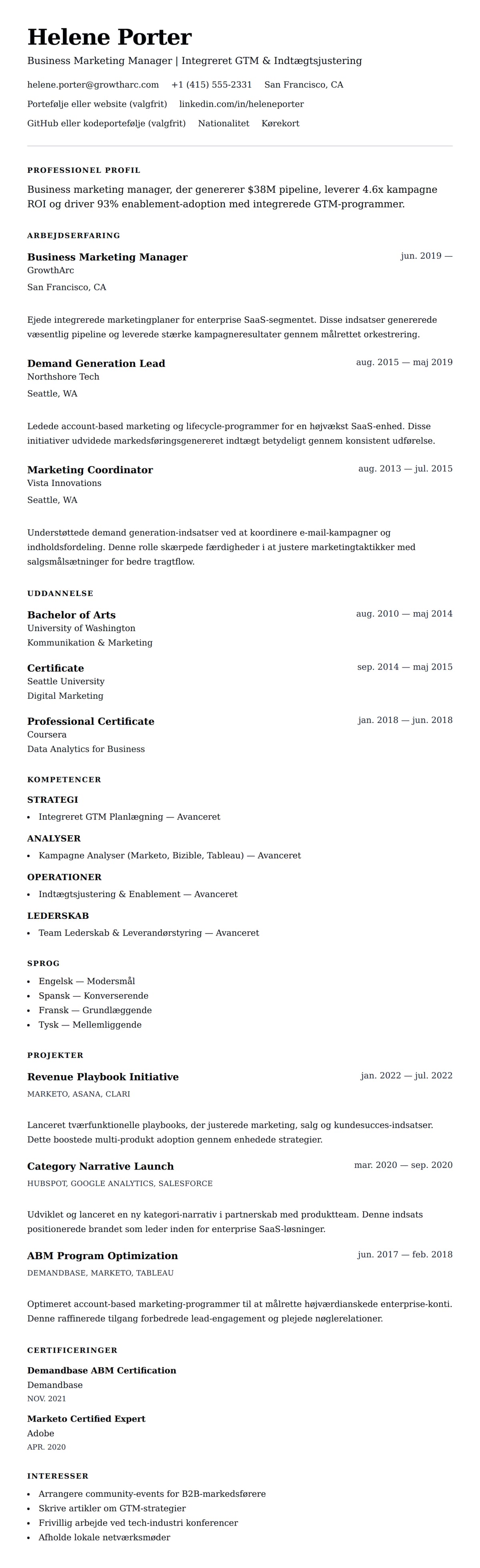 CV-forhåndsvisning for Business Marketing Manager CV Eksempel