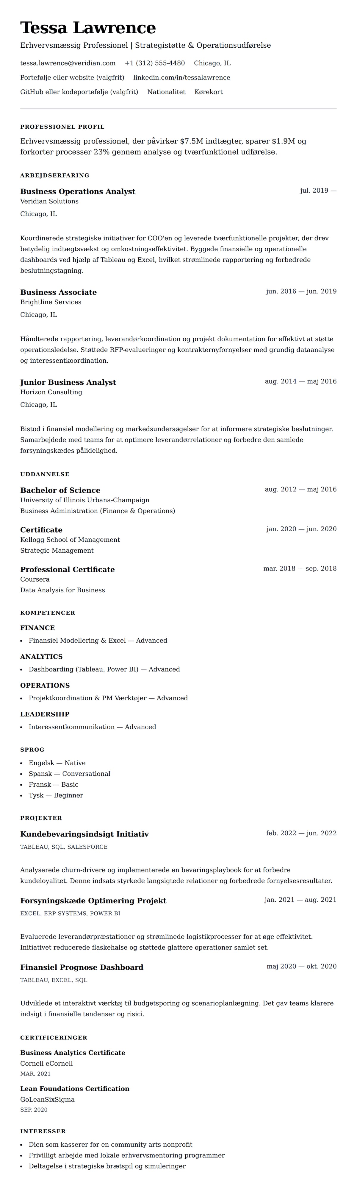 CV-forhåndsvisning for Erhvervsmæssig Professionel CV Eksempel