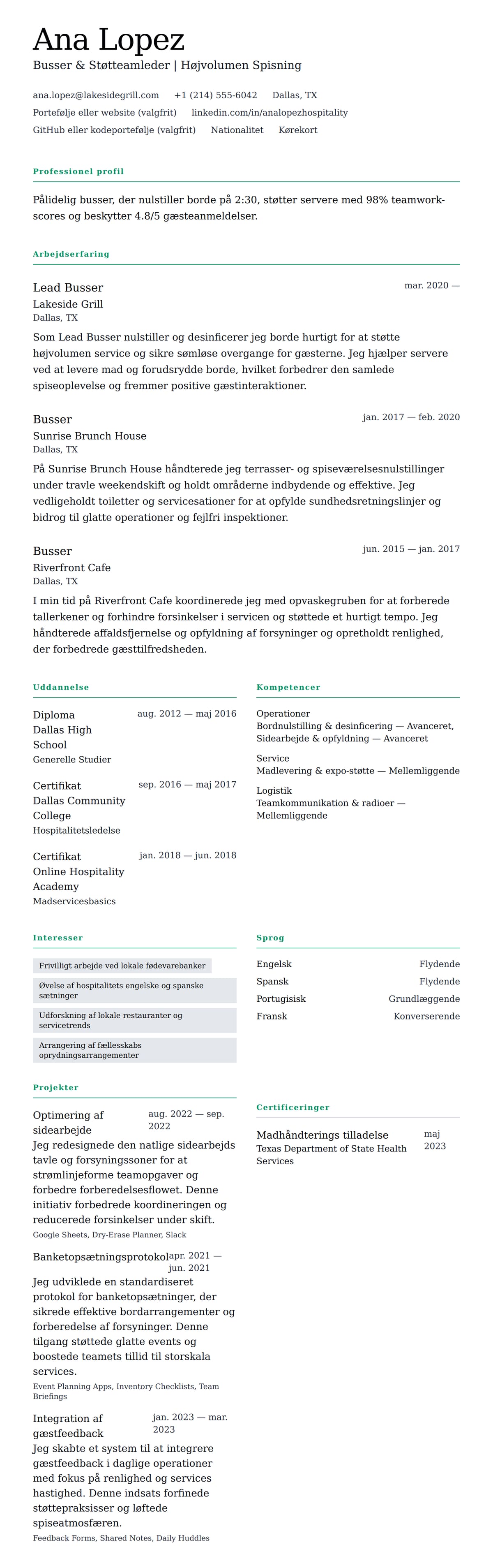 CV-forhåndsvisning for Busser CV-eksempel