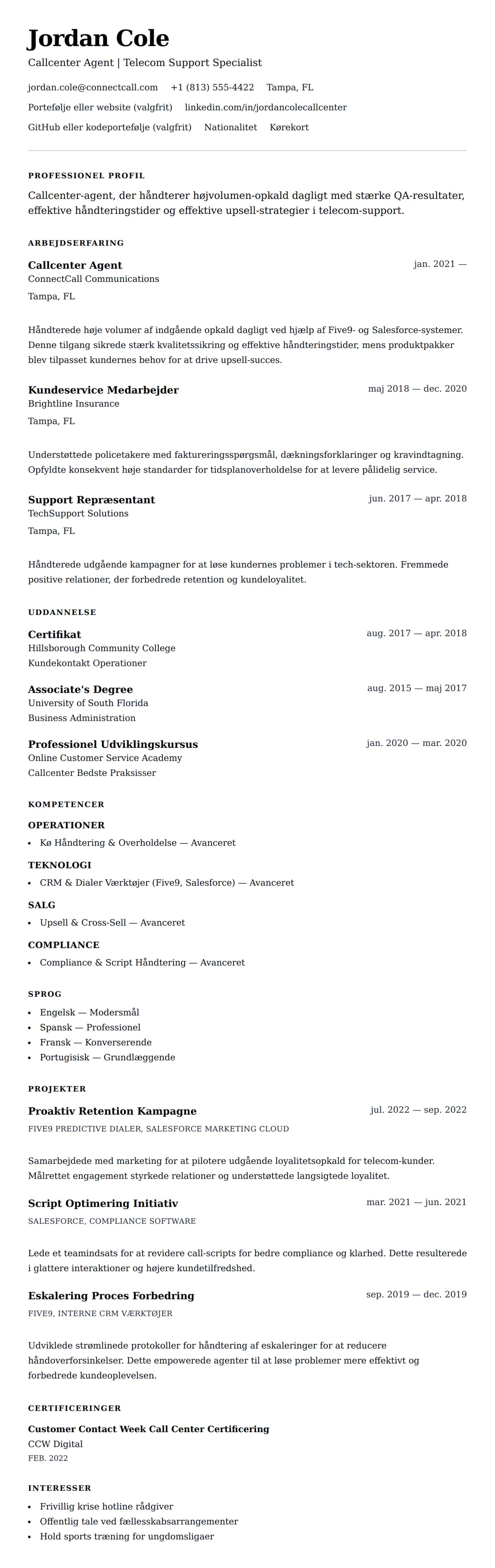 Callcenter Agent CV Eksempel