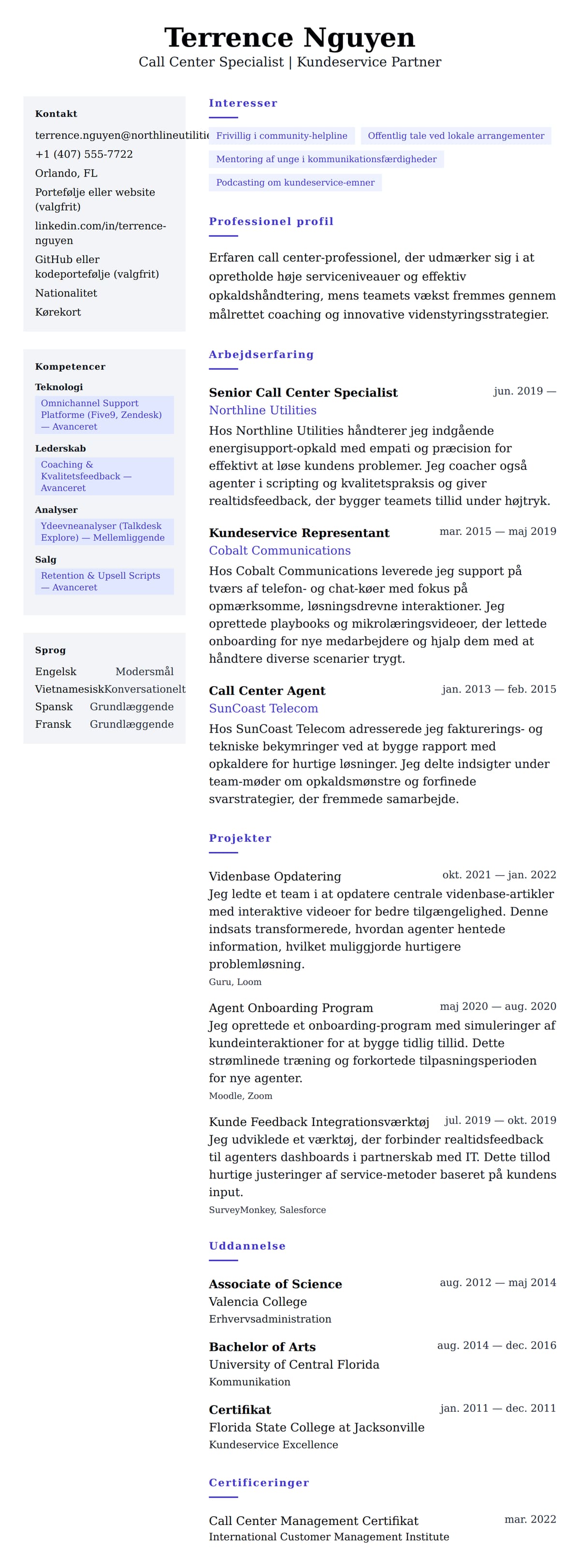 Call Center Professionel CV Eksempel