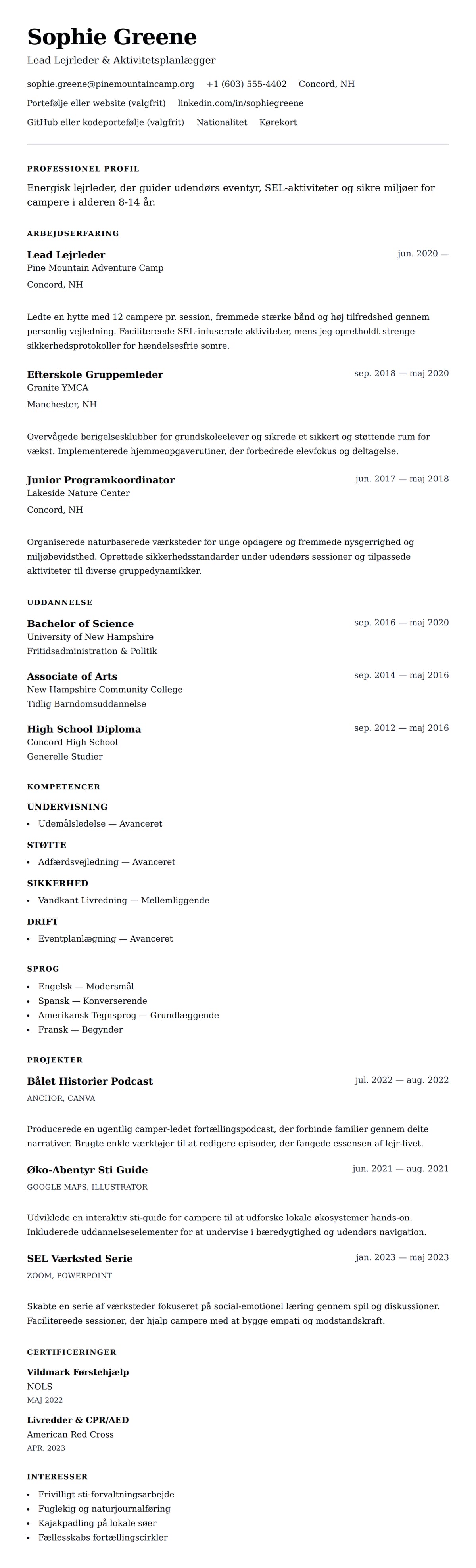 CV-forhåndsvisning for Lejrleder CV Eksempel
