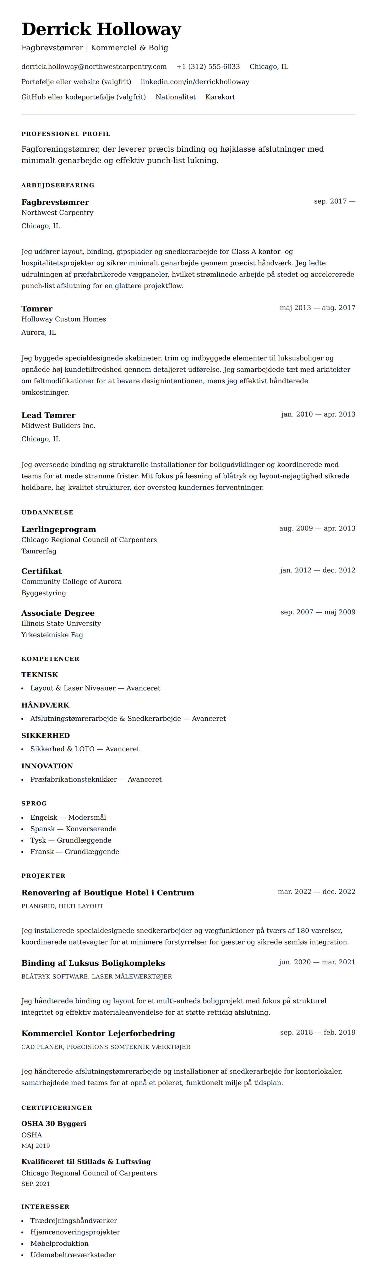 CV-forhåndsvisning for Tømrer CV Eksempel