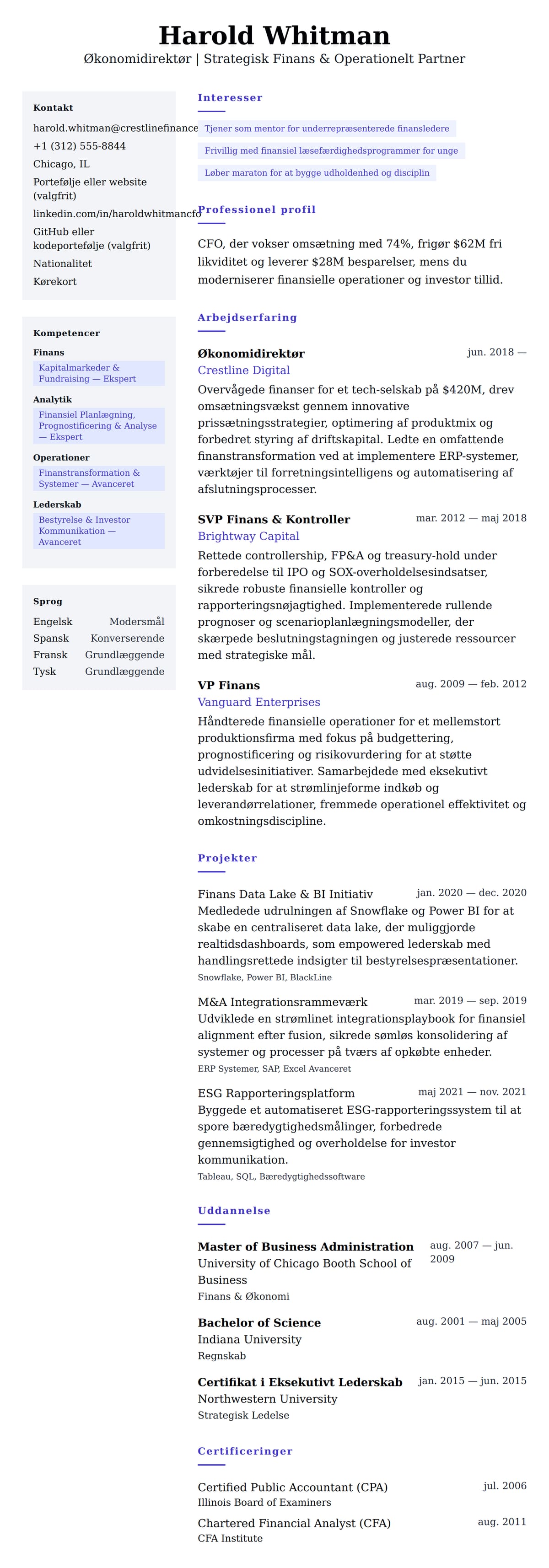 CV-forhåndsvisning for Økonomidirektør CV Eksempel