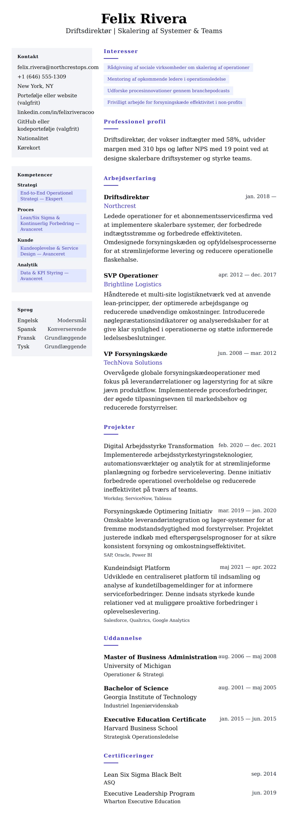 CV-forhåndsvisning for Driftsdirektør CV Eksempel