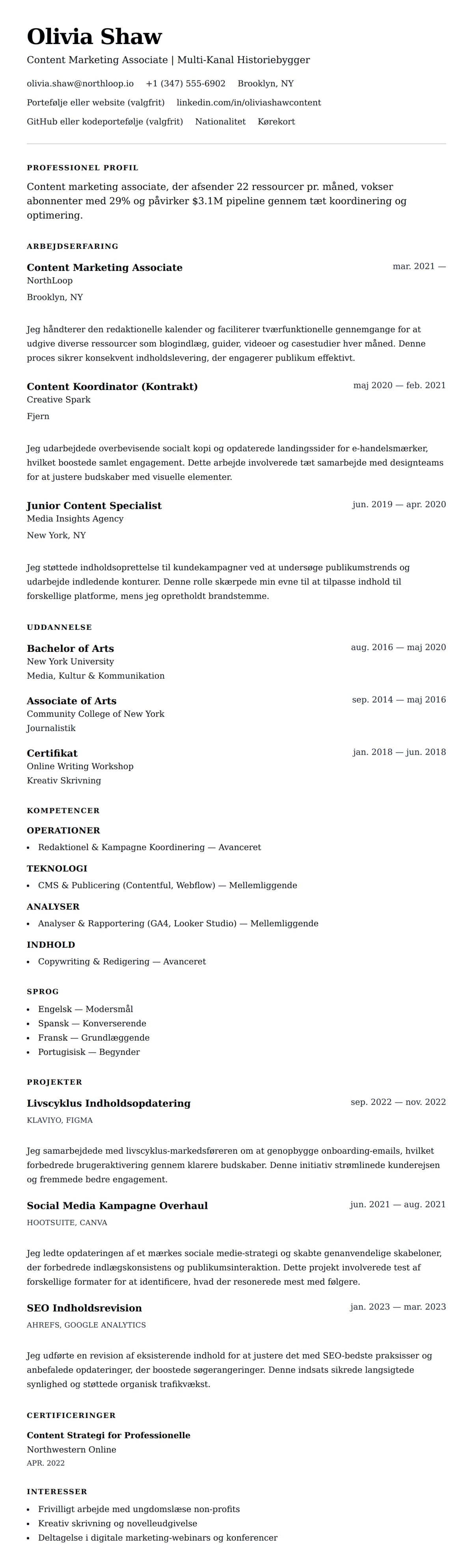 CV-forhåndsvisning for Content Marketing Associate CV Eksempel