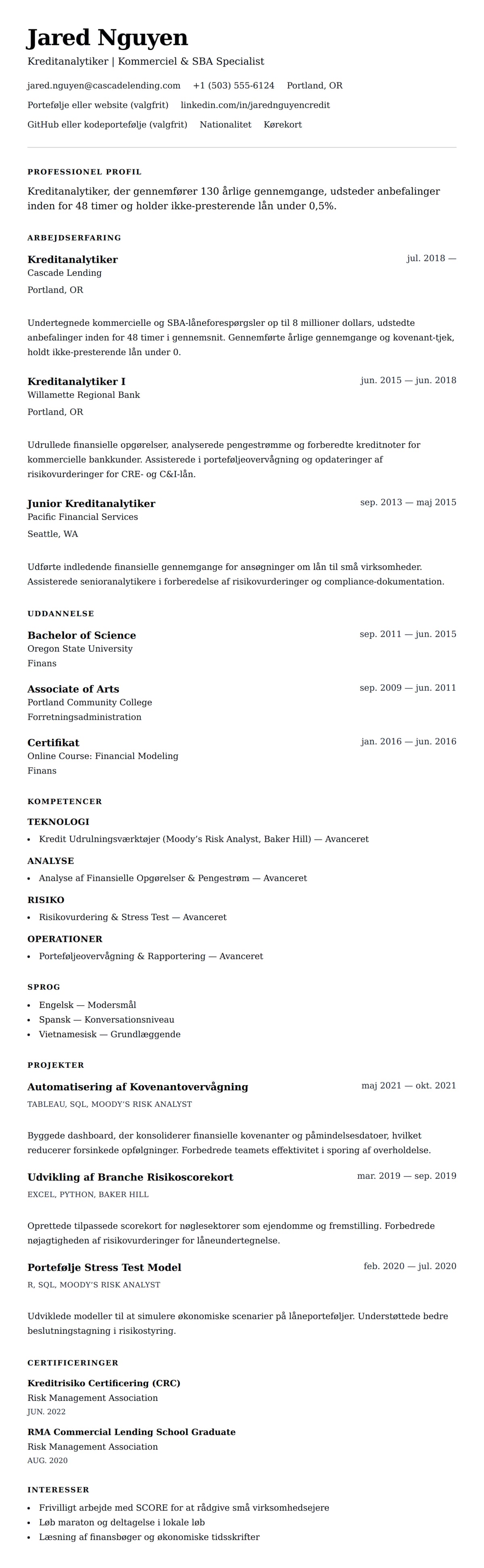 CV-forhåndsvisning for Eksempel på CV for Kreditanalytiker