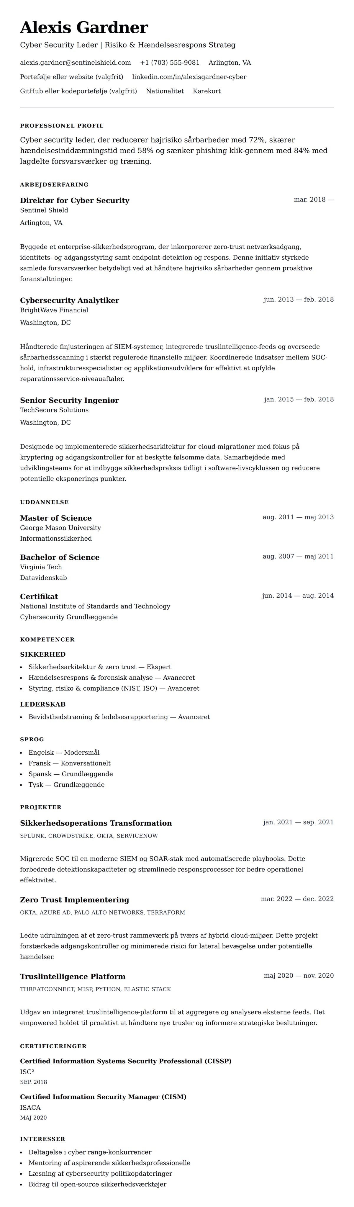 CV-forhåndsvisning for Cyber Security Professionel CV Eksempel