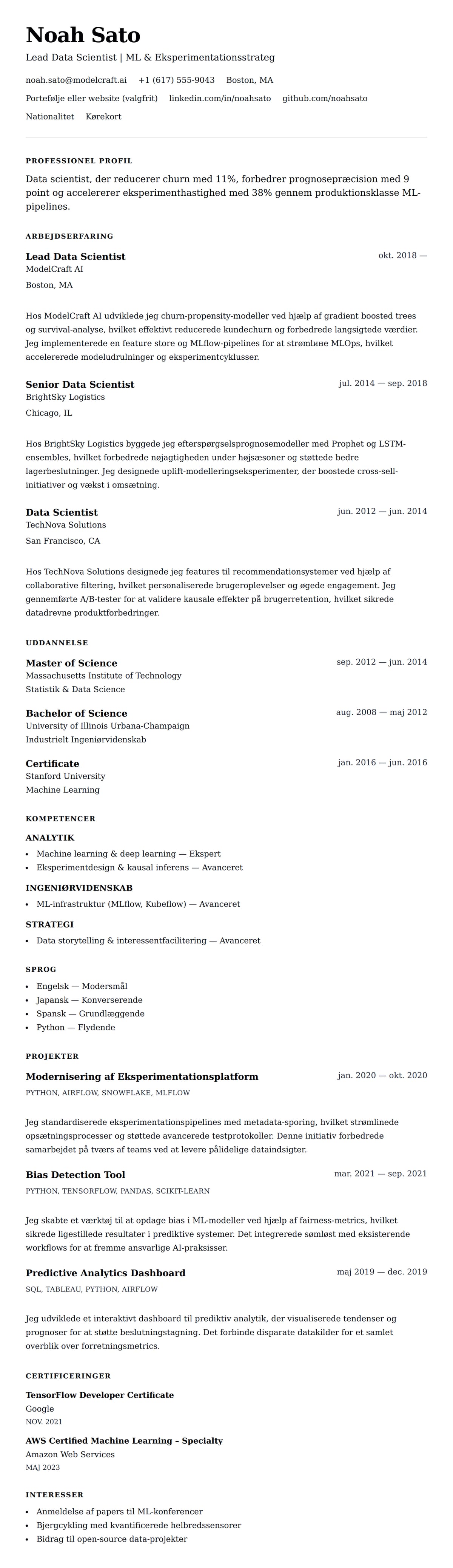 CV-forhåndsvisning for Data Scientist CV Eksempel