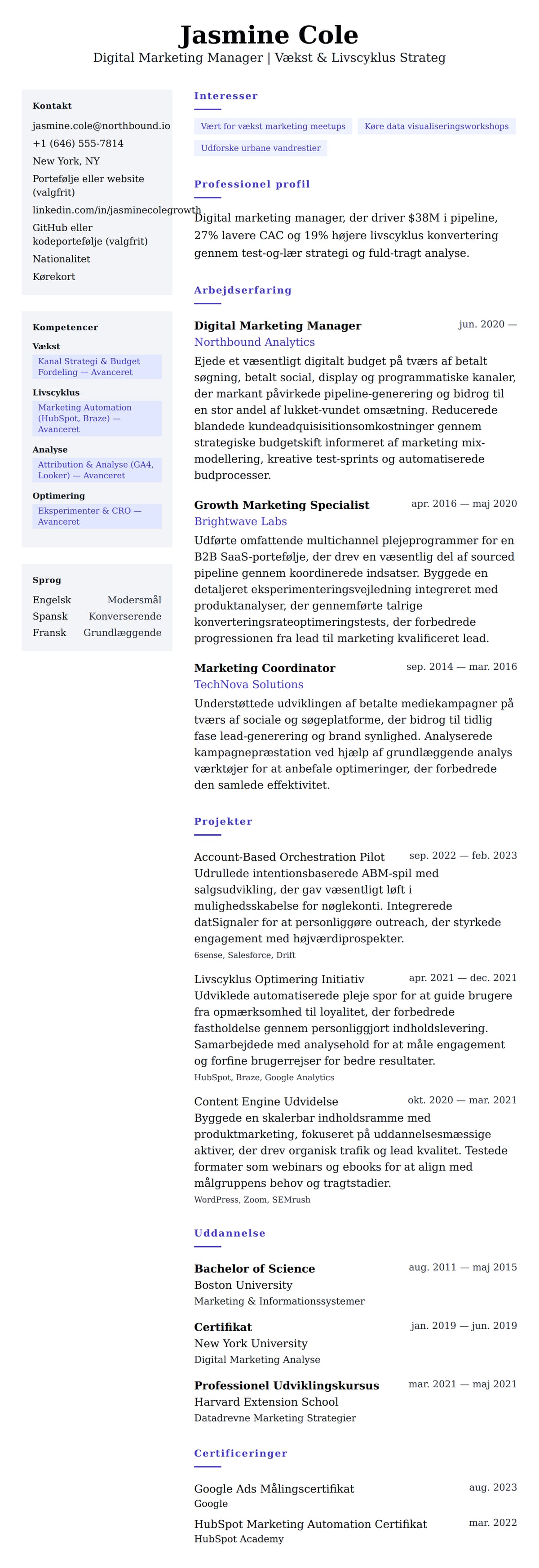 CV-forhåndsvisning for Eksempel på CV for Digital Marketing Manager