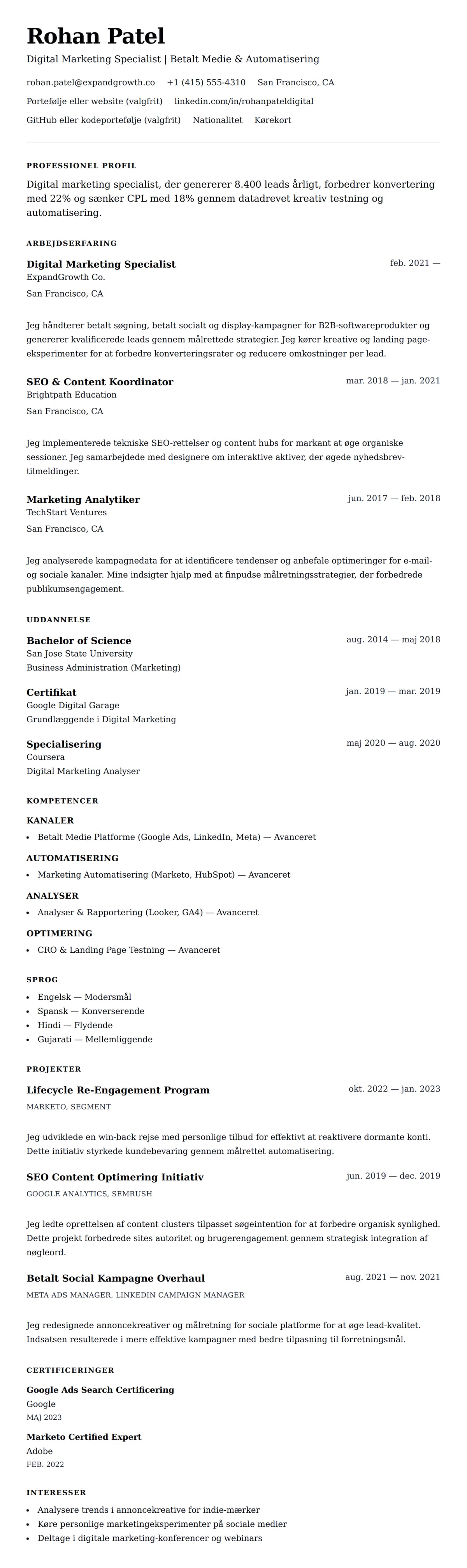 CV-forhåndsvisning for Digital Marketing Specialist CV Eksempel