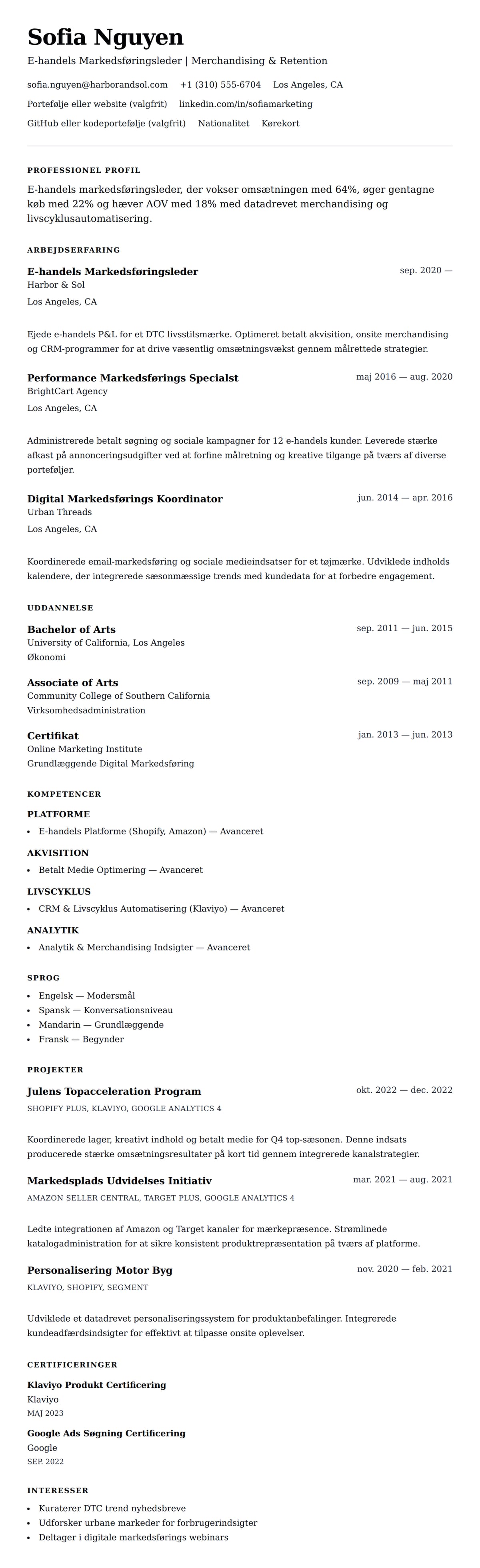 CV-forhåndsvisning for E-handels Markedsføringsleder CV Eksempel