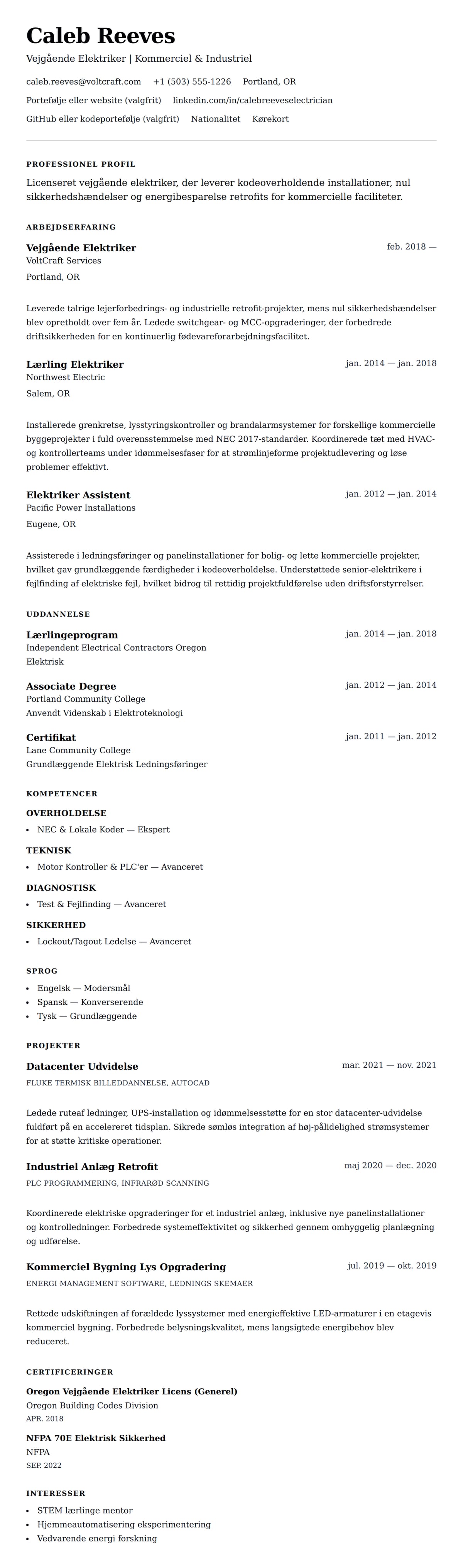 CV-forhåndsvisning for Elektriker CV Eksempel