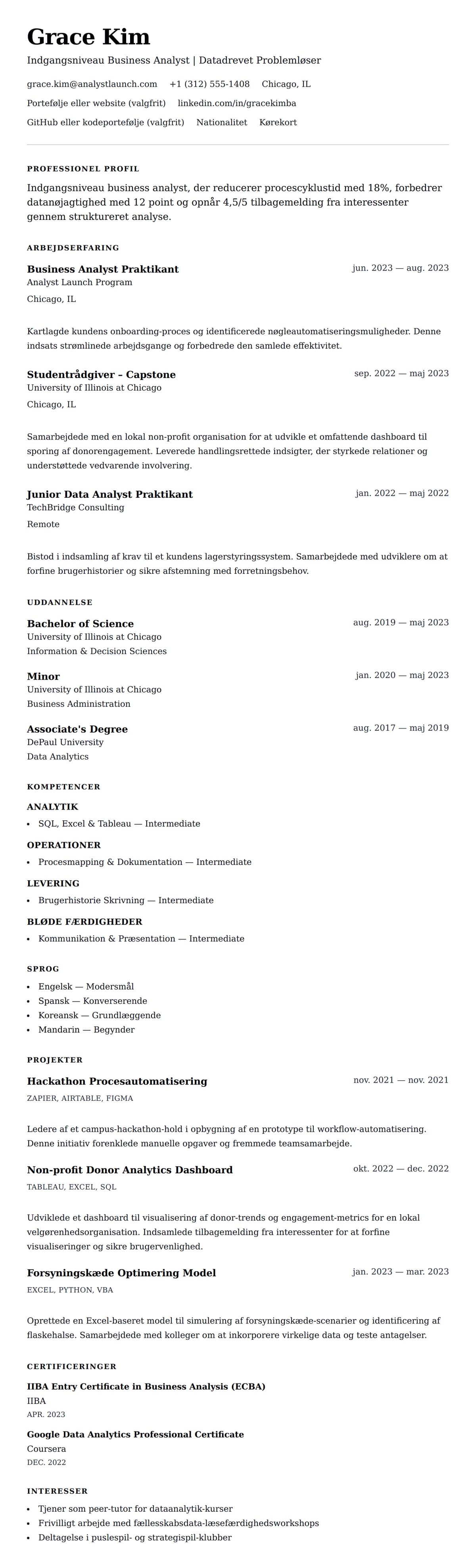 CV-forhåndsvisning for Indgangsniveau Business Analyst CV Eksempel