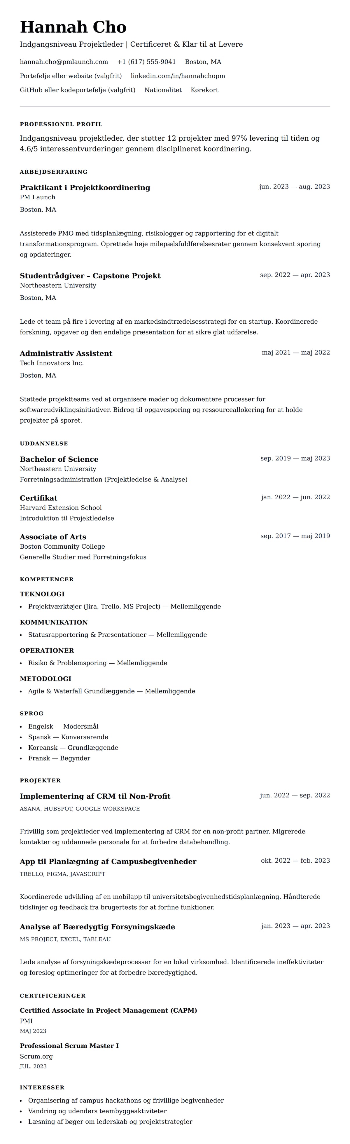 CV-forhåndsvisning for Eksempel på CV for Indgangsniveau Projektleder