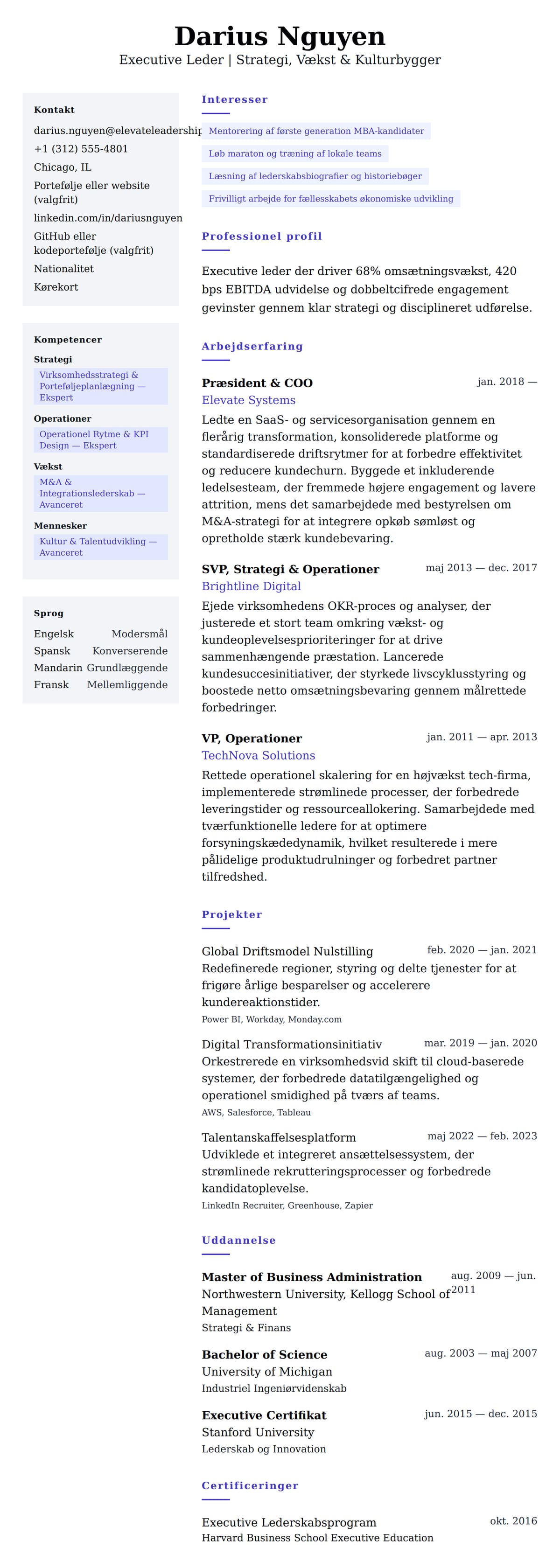 CV-forhåndsvisning for Executive Leder CV Eksempel