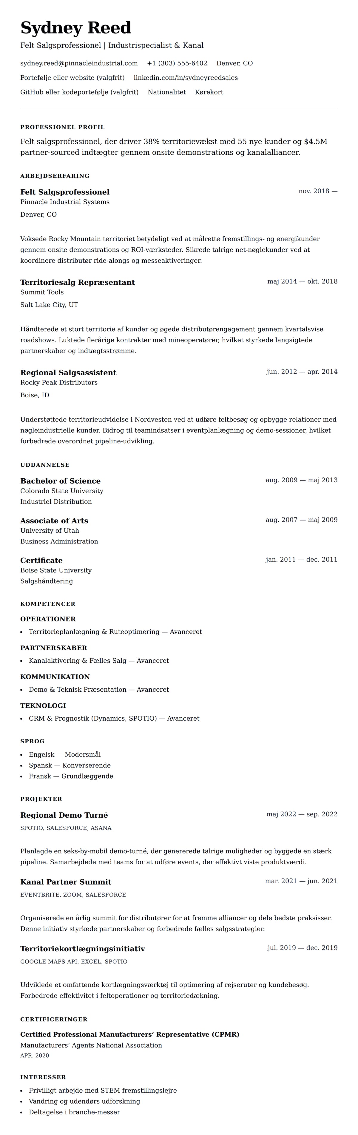 CV-forhåndsvisning for Felt Salgsprofessionel CV Eksempel