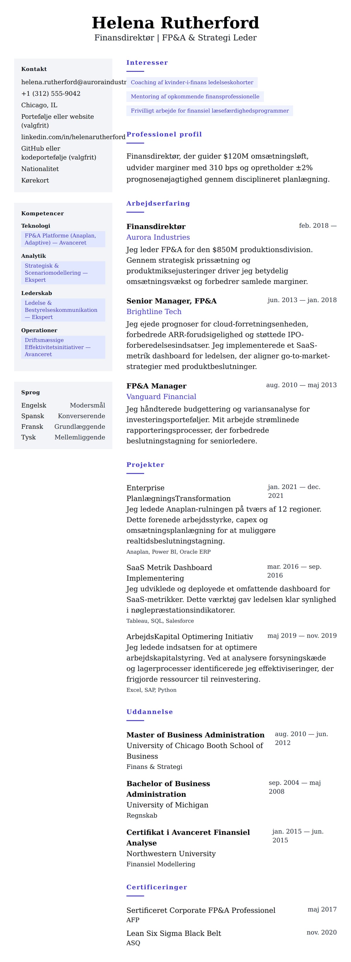 CV-forhåndsvisning for Finansdirektør CV Eksempel