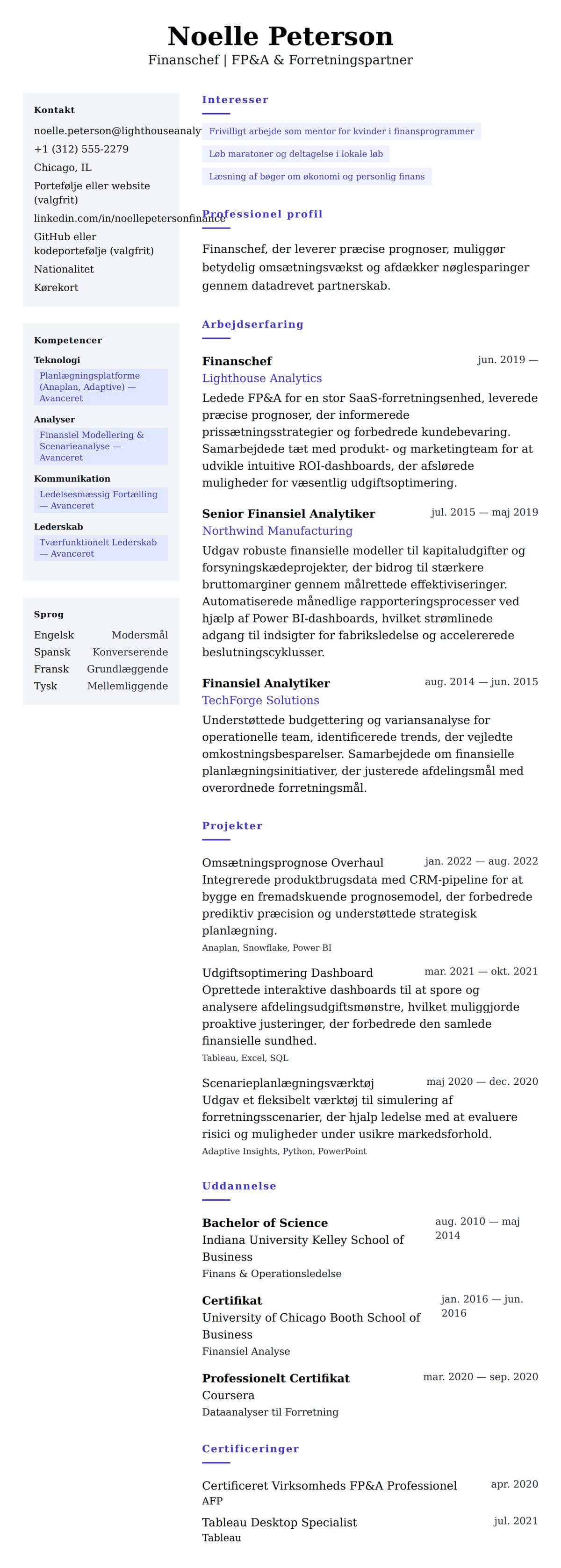 CV-forhåndsvisning for Finanschef CV Eksempel