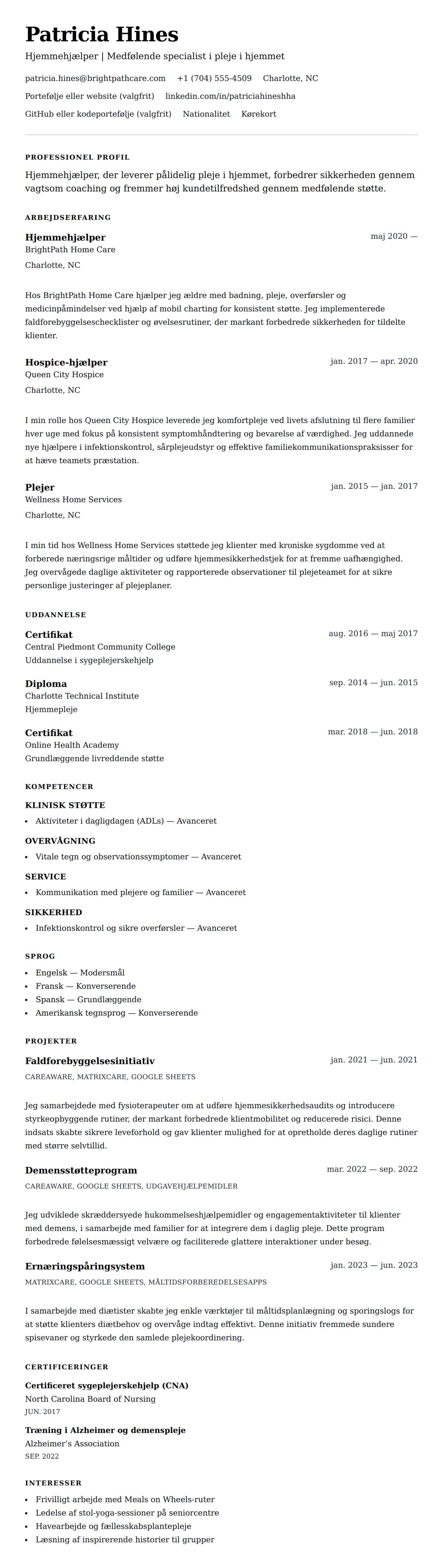 CV-forhåndsvisning for Hjemmehjælper CV Eksempel