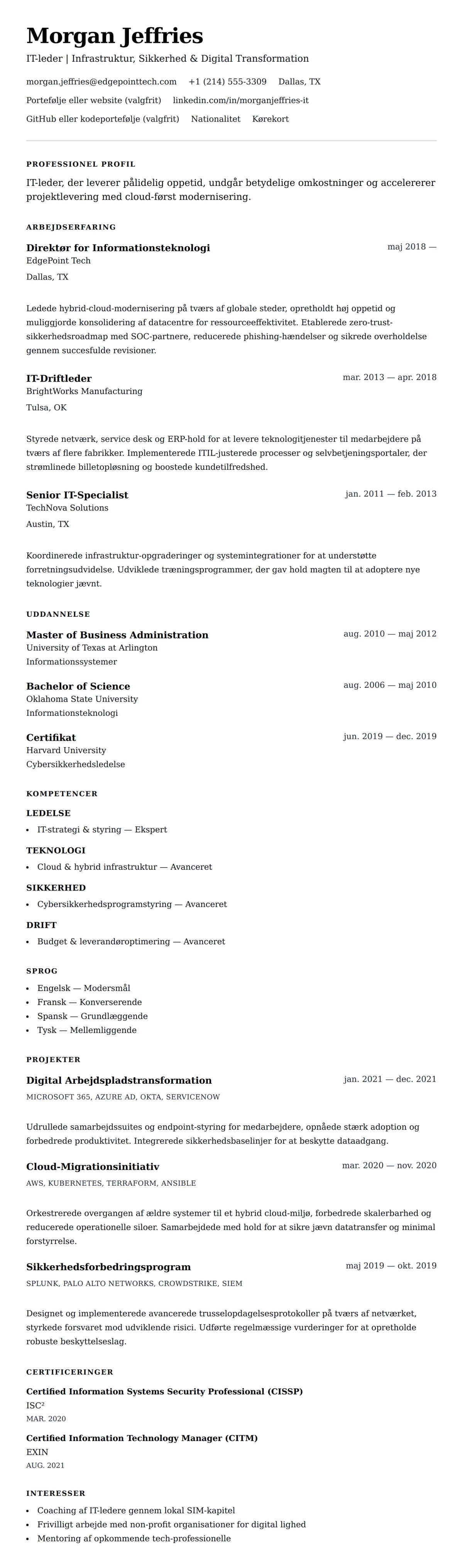 CV-forhåndsvisning for Eksempel på CV for IT-Professionel