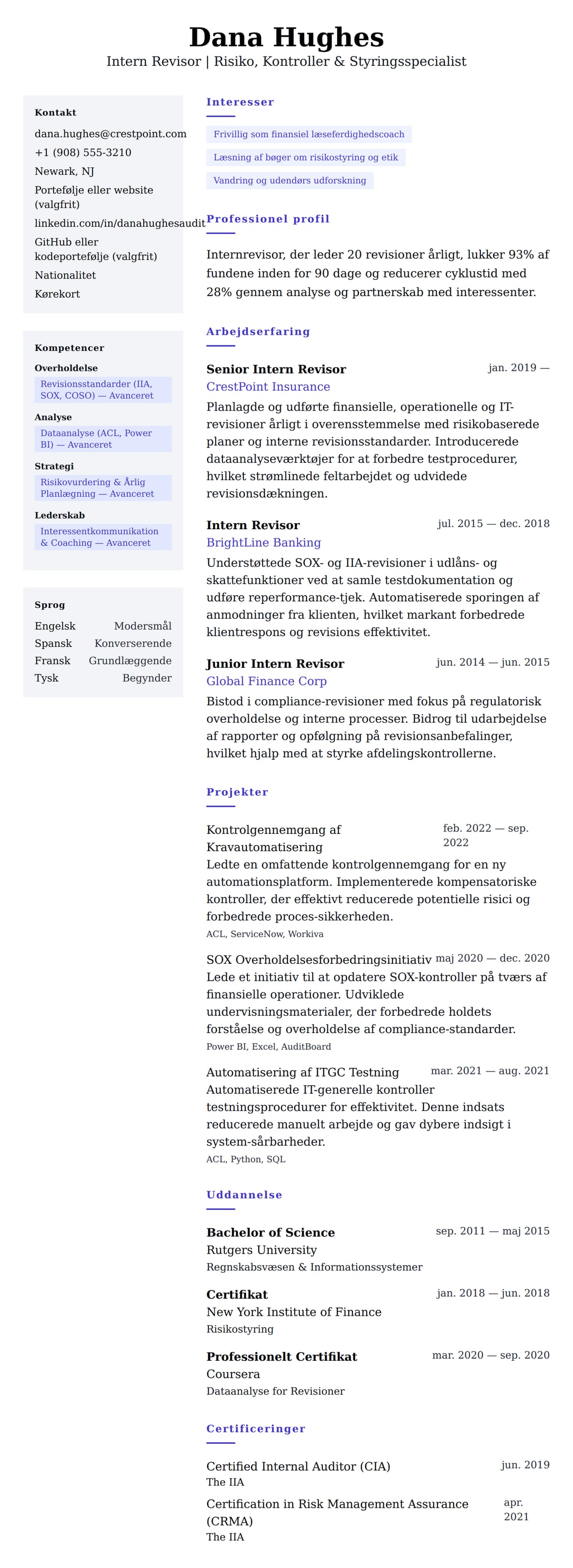 CV-forhåndsvisning for Intern Revisor CV Eksempel