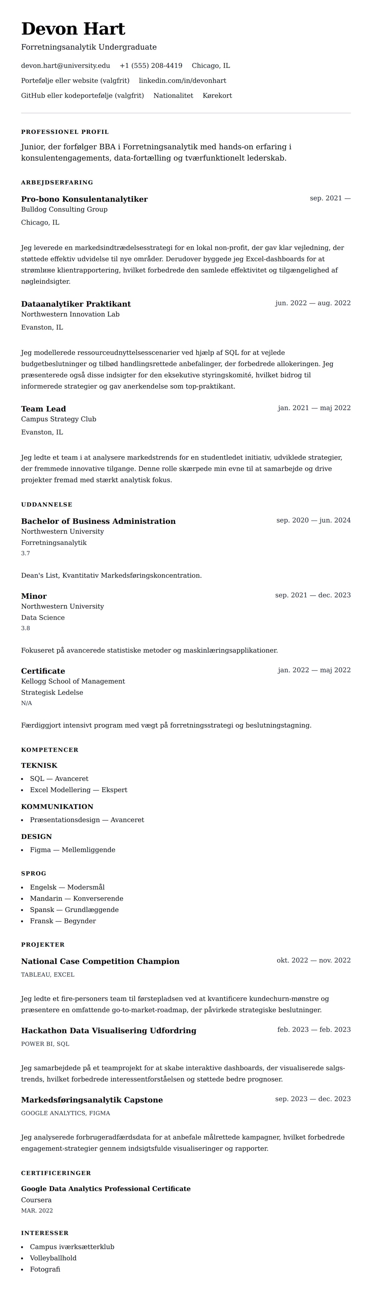 CV-forhåndsvisning for Praktik CV Eksempel