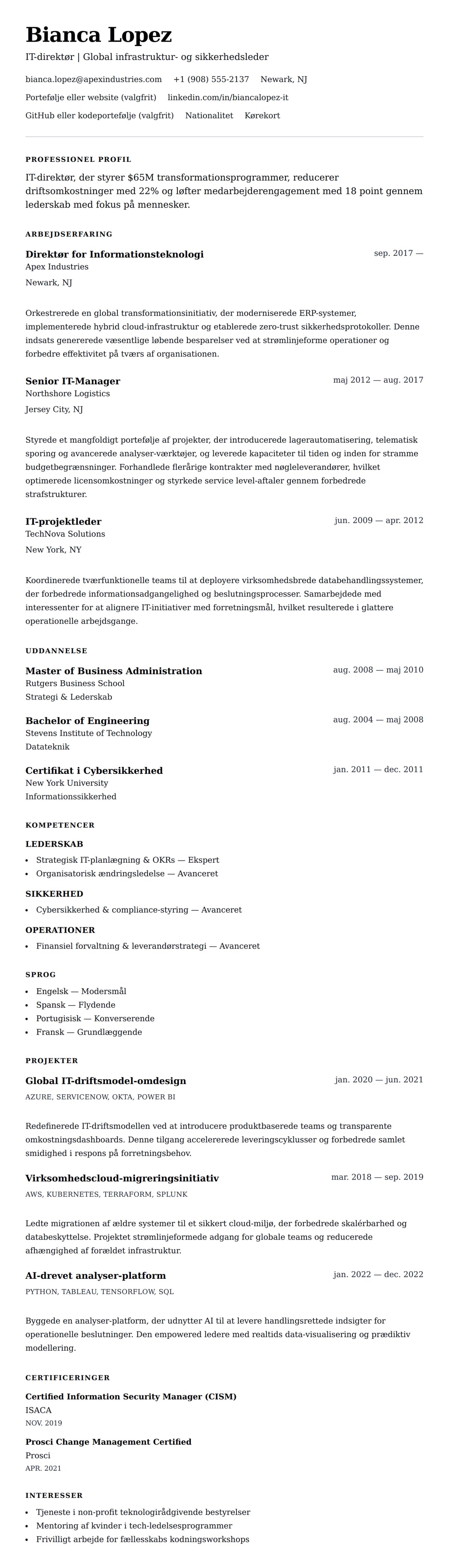 CV-forhåndsvisning for IT-direktør CV-eksempel