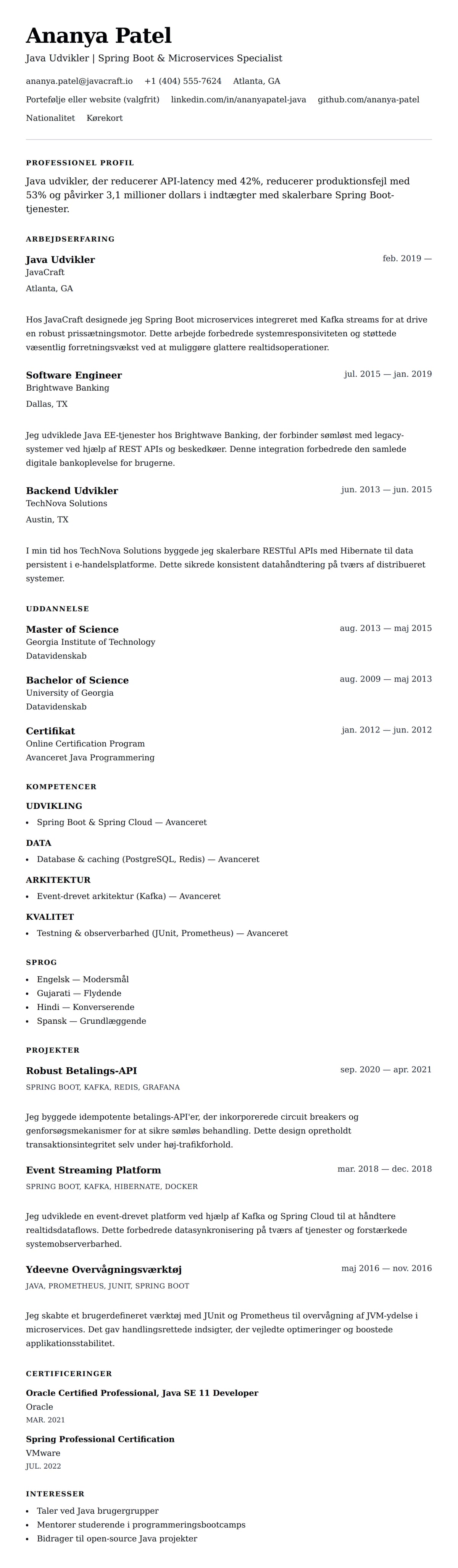 CV-forhåndsvisning for Java Udvikler CV Eksempel