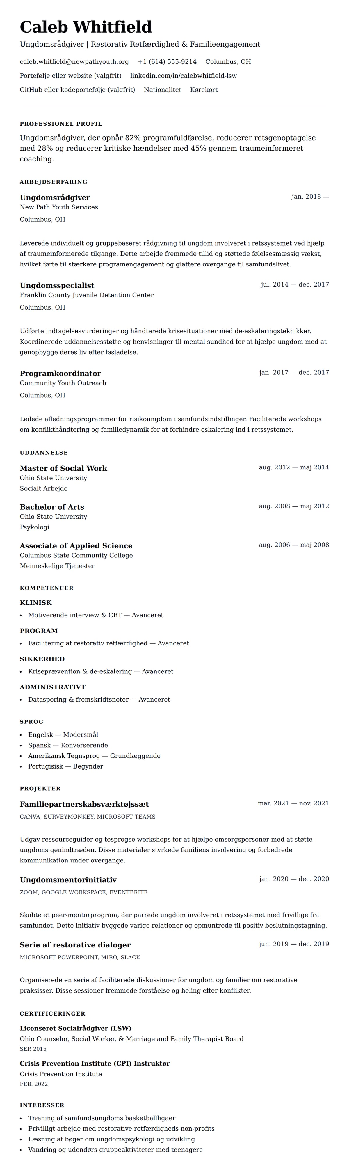 CV-forhåndsvisning for Ungdomsrådgiver CV Eksempel