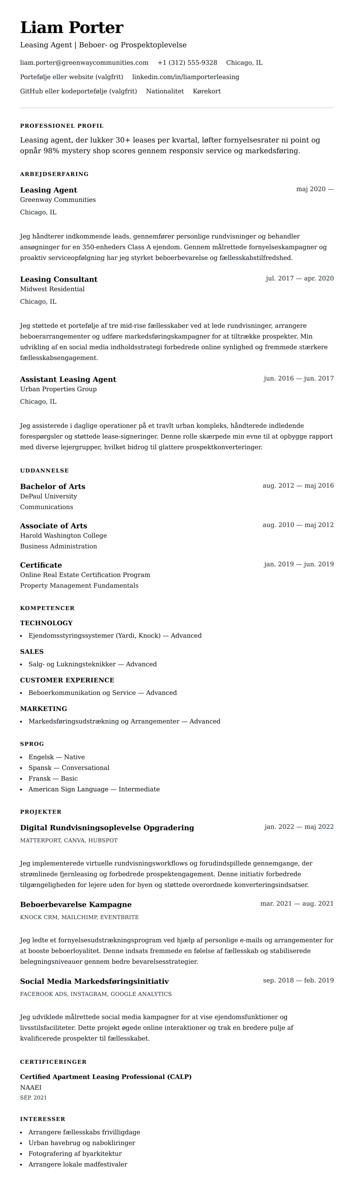 CV-forhåndsvisning for Leasing Agent CV Eksempel