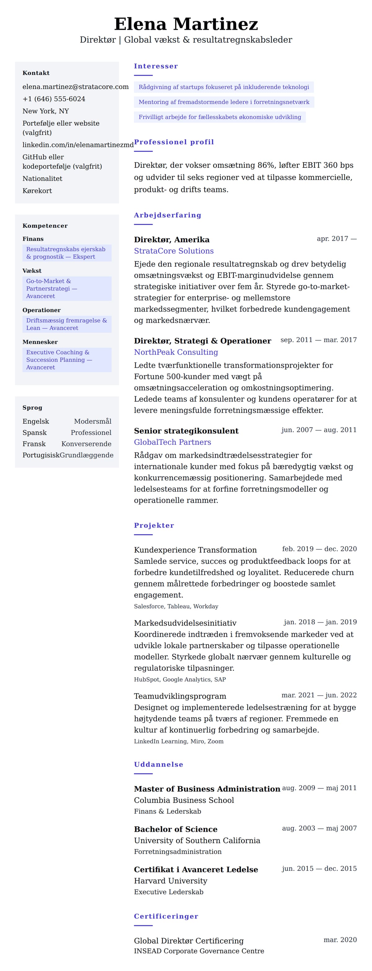 CV-forhåndsvisning for Direktør CV-eksempel