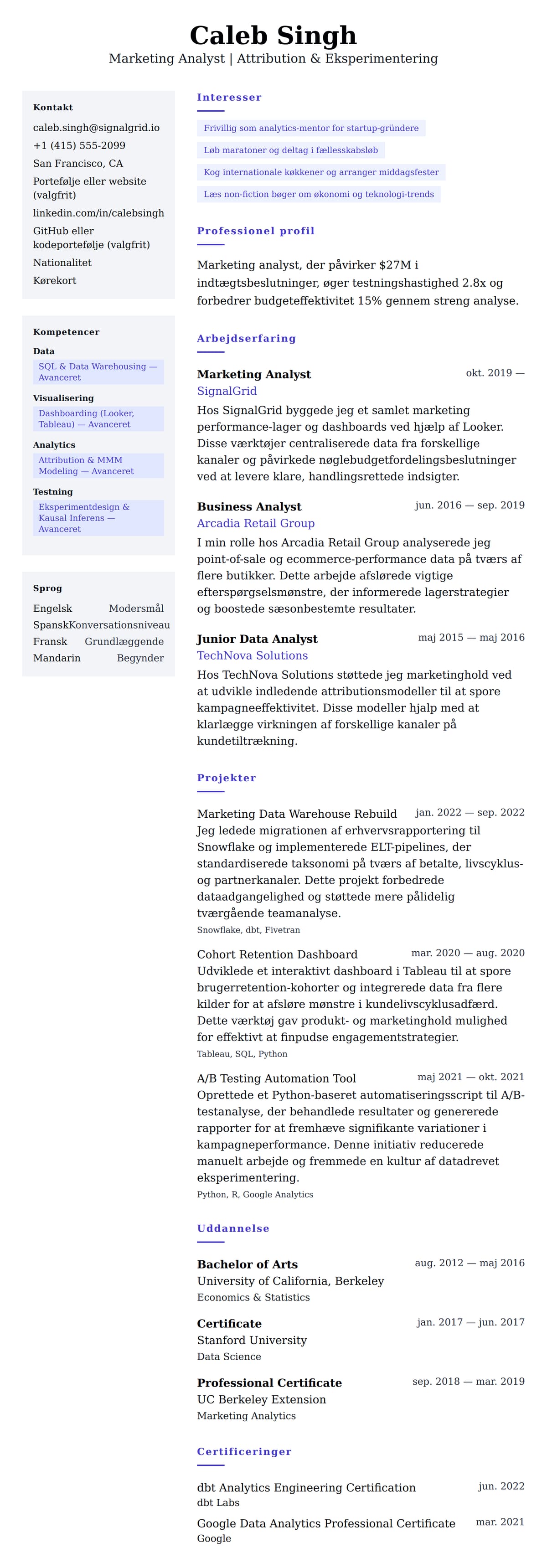 CV-forhåndsvisning for Marketing Analyst CV Eksempel