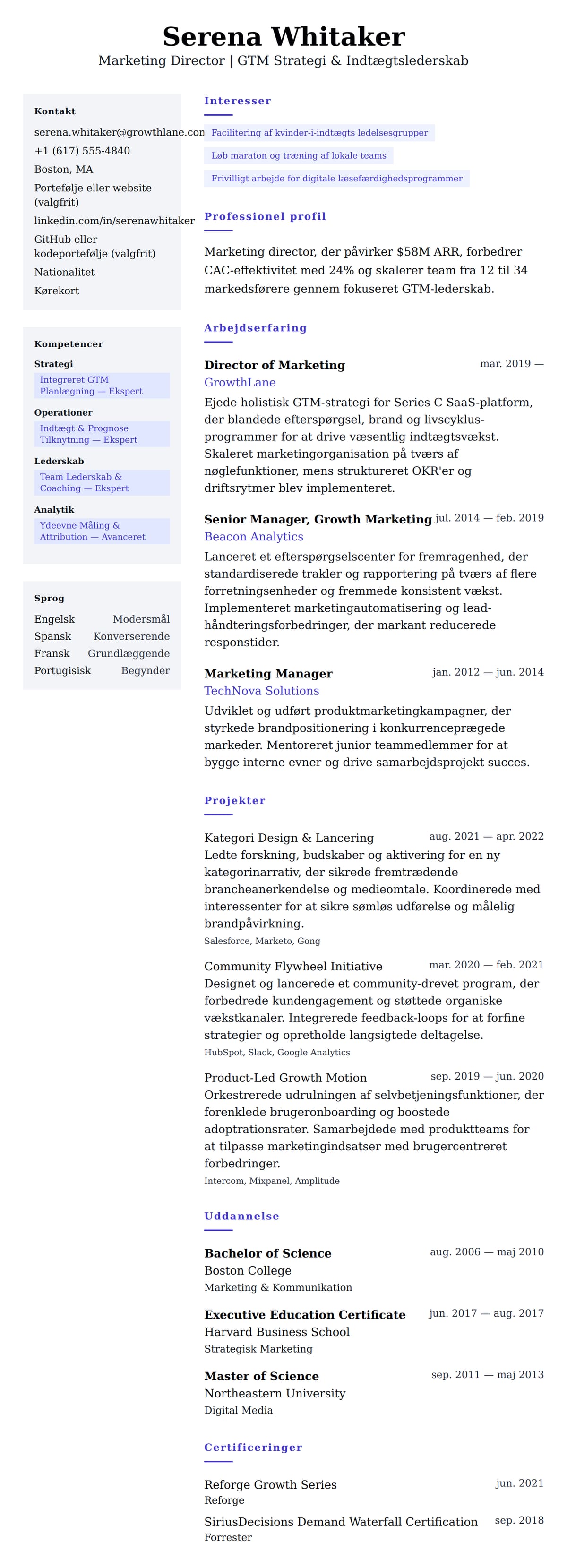 CV-forhåndsvisning for Marketing Director CV Eksempel