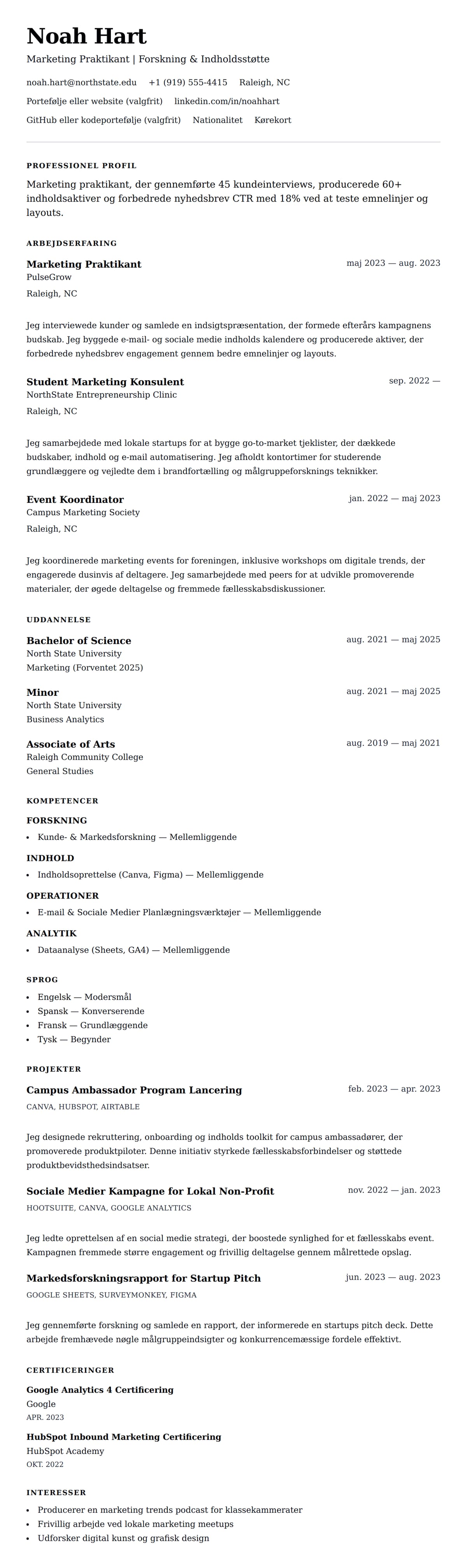 CV-forhåndsvisning for Marketing Praktikant CV Eksempel