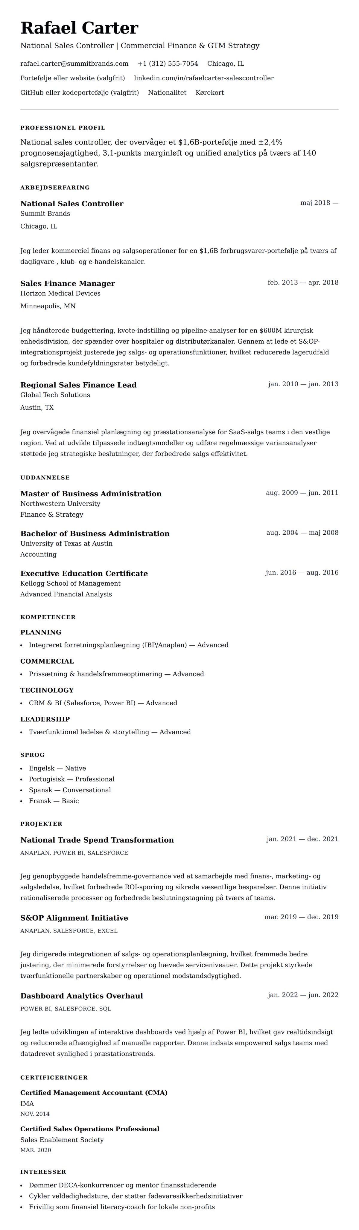 CV-forhåndsvisning for National Sales Controller CV Eksempel