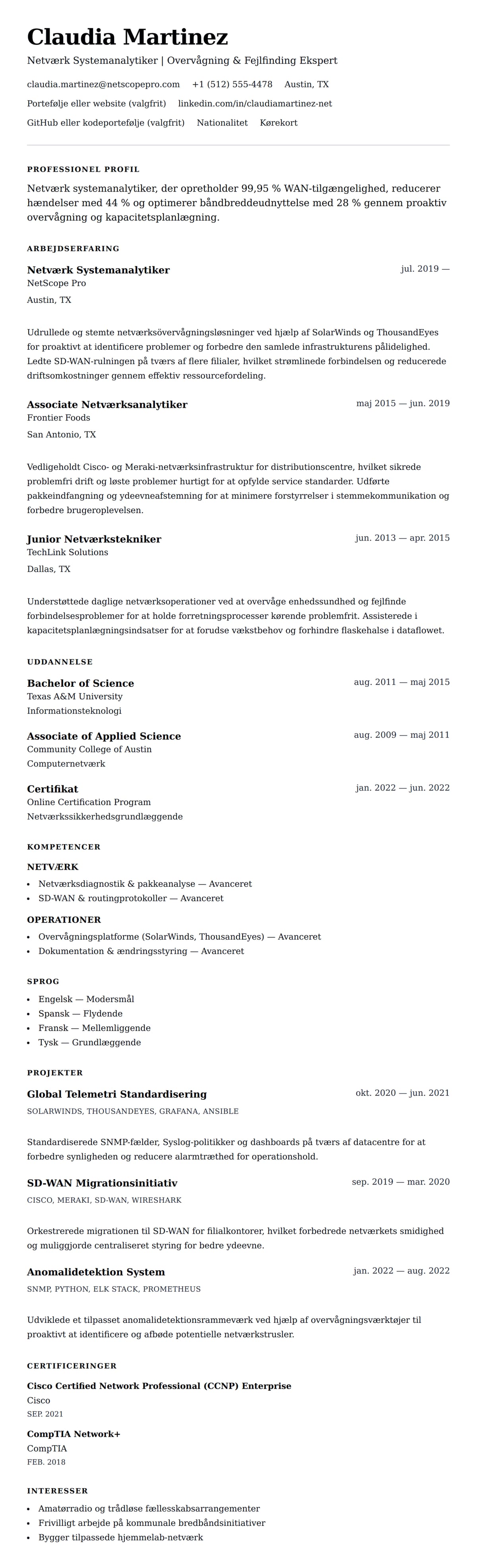 CV-forhåndsvisning for Netværk Systemanalytiker CV Eksempel