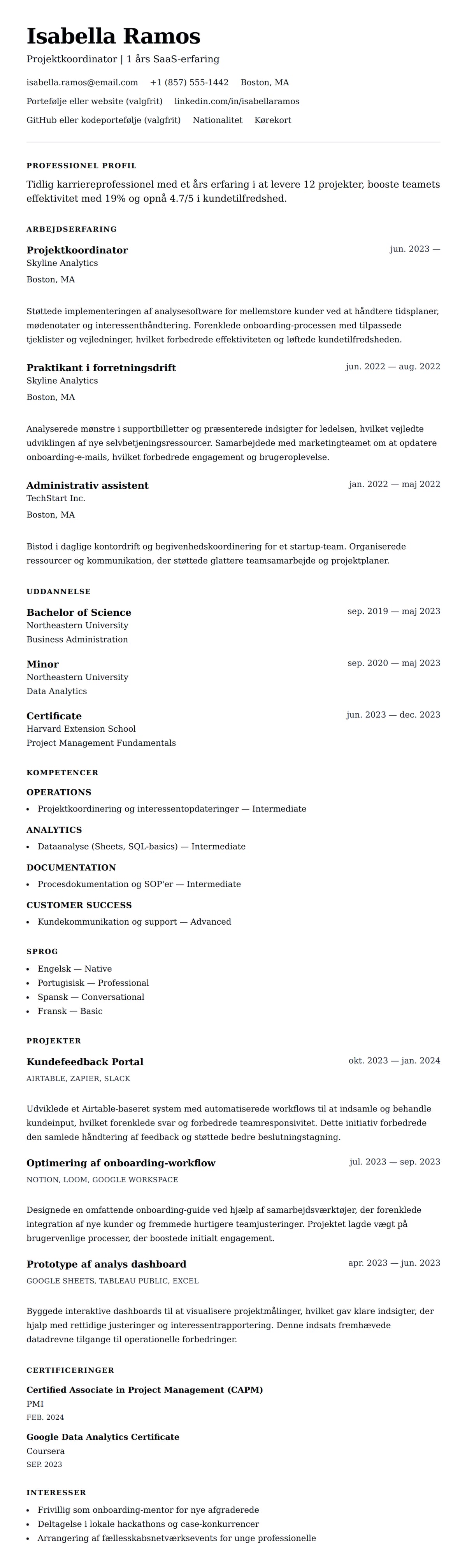 CV-forhåndsvisning for Eksempel på CV med et års erfaring