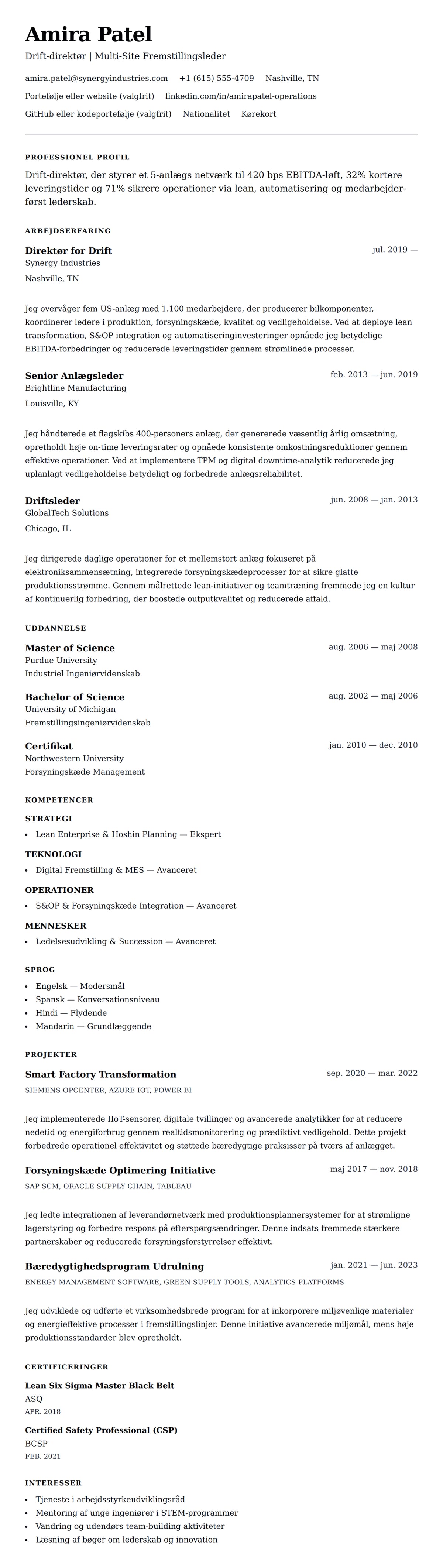 CV-forhåndsvisning for Drift-direktør CV-eksempel