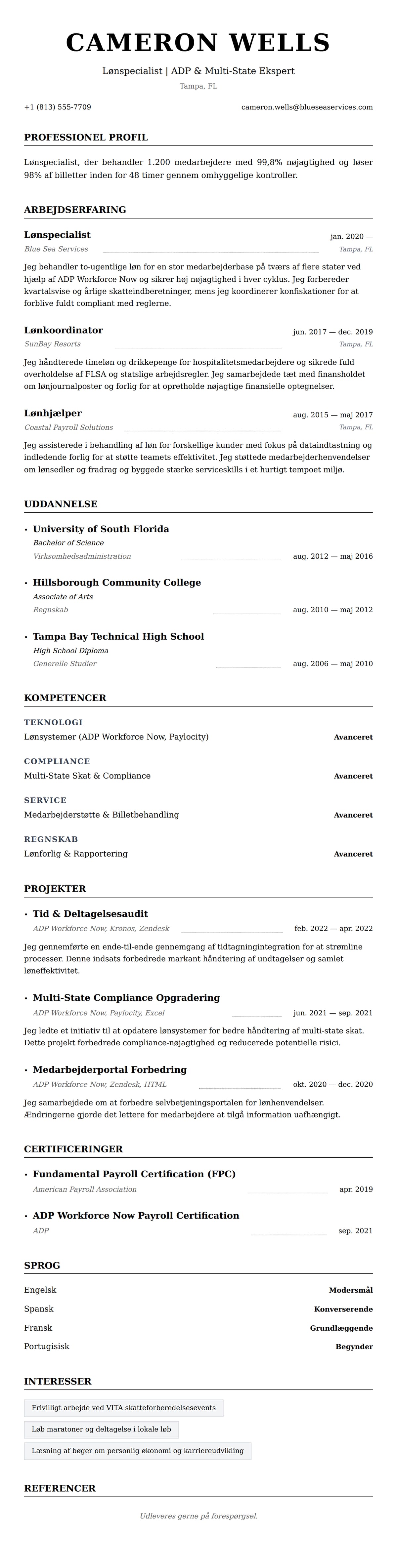 CV-forhåndsvisning for Lønspecialist CV Eksempel