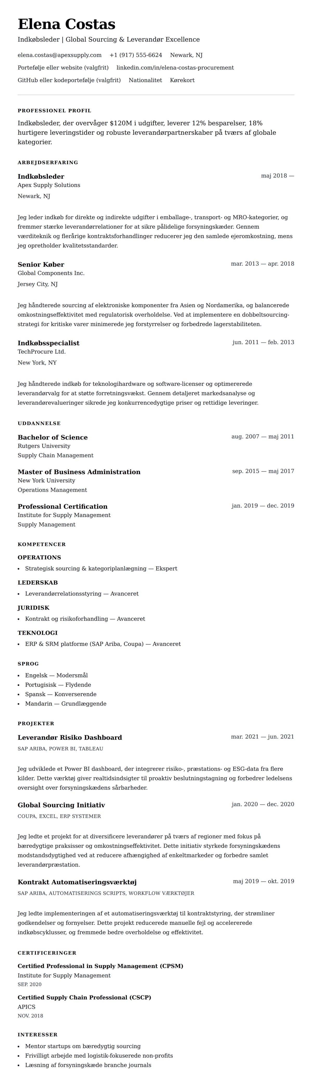 CV-forhåndsvisning for Indkøbsleder CV Eksempel