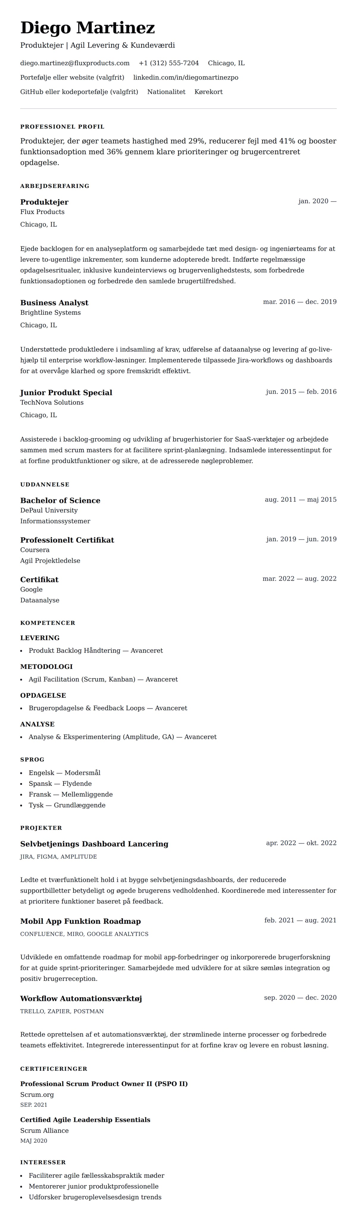CV-forhåndsvisning for Produktejer CV Eksempel
